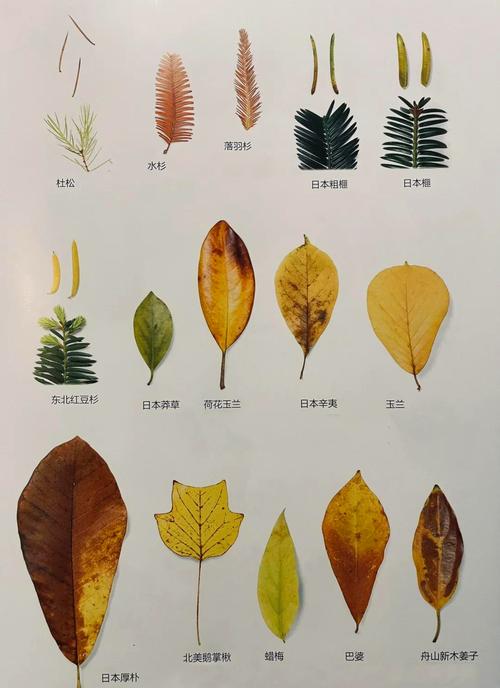 🍃 环保与验收：别让新房变毒气室