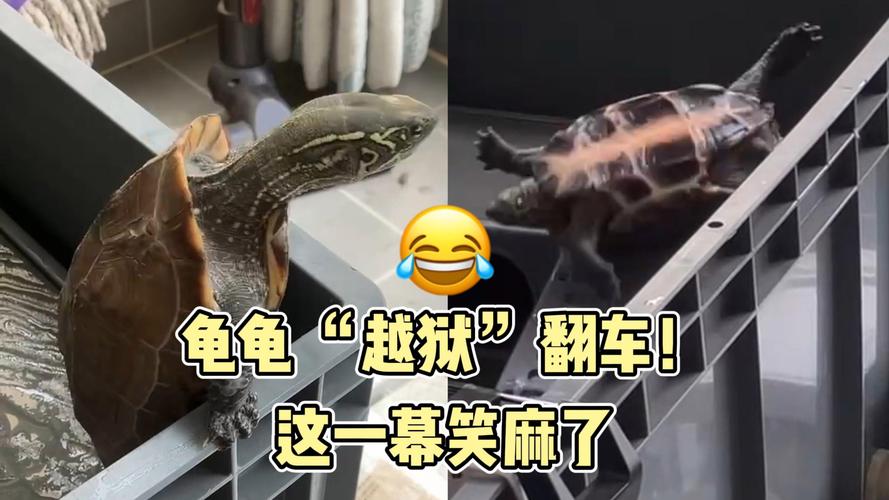 临门一脚最容易翻车的细节