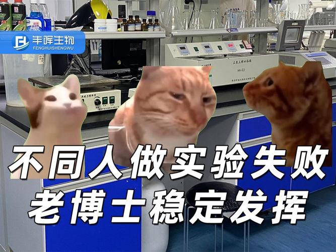 失败实验不是垃圾——废数据里藏着惊喜