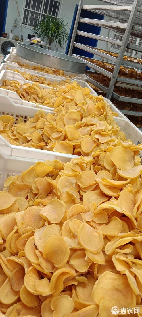 南漳农舍屋檐下串成串晾晒的干土豆片