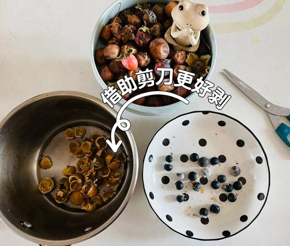 环保生活无患子洗碗实拍