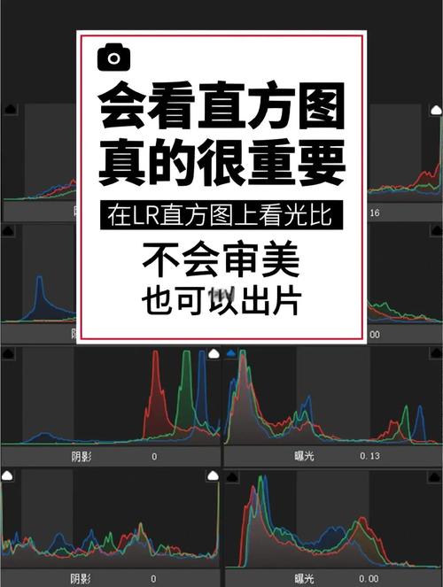 旅拍胶片风格直方图对比