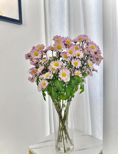 婚礼雏菊花束清新户外婚礼