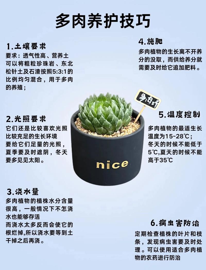 简单好做的养护小技巧