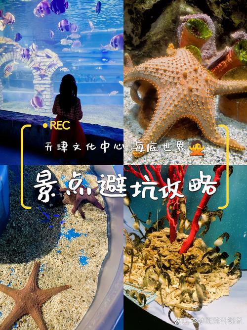 水下文物相关法律服务高频避坑指南