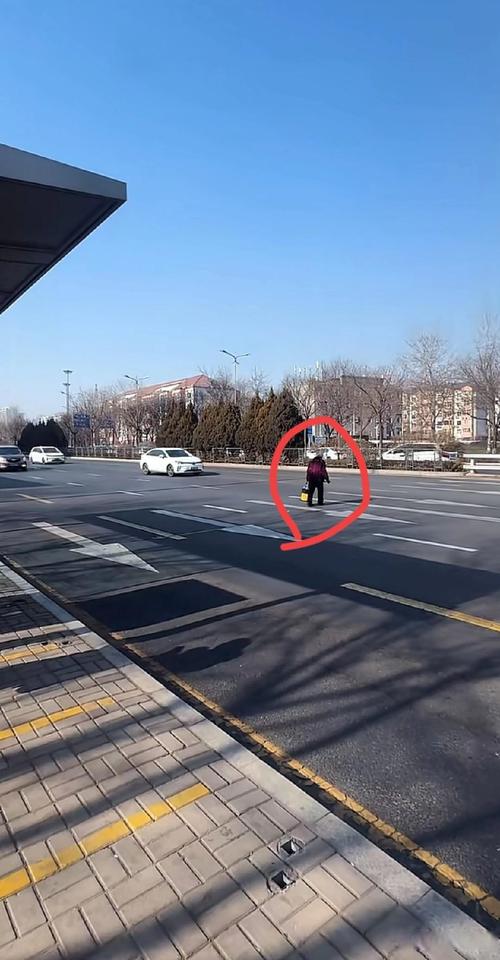 城市道路突发行人横穿马路避险场景实拍