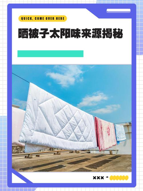 晒完被子的“太阳香”，到底是什么味儿