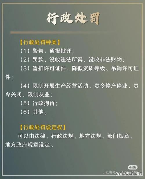 二、行政处罚与许可:程序上的坑,一踩一个准