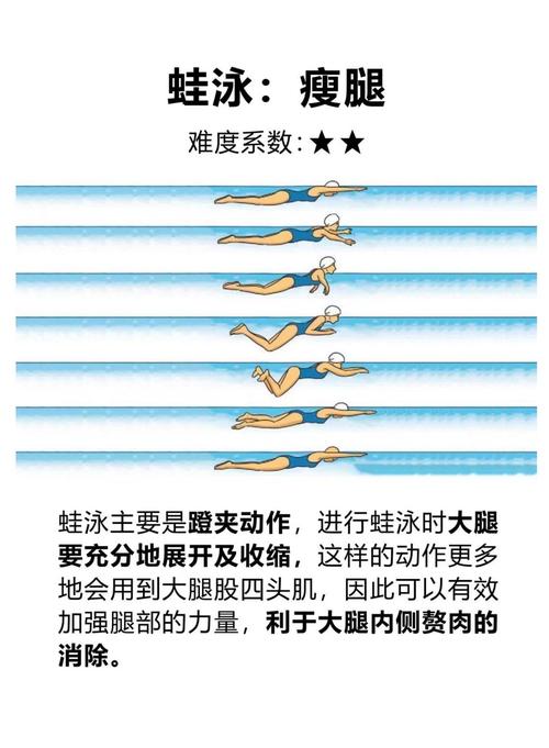 自由泳换气错误抬头导致下半身下沉对比图