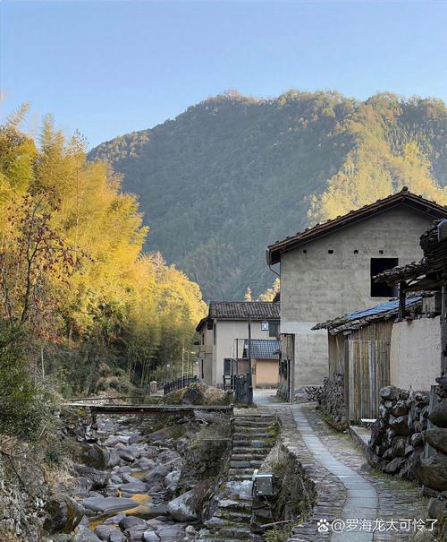 乡村起居最养人的地方，很少有人说透