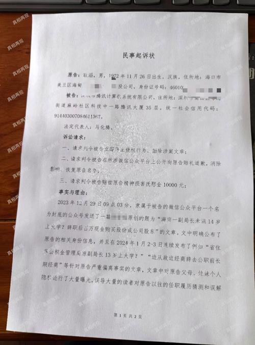股东知情权起诉状样本图片