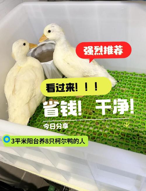 养好它,比换个新的省钱多了