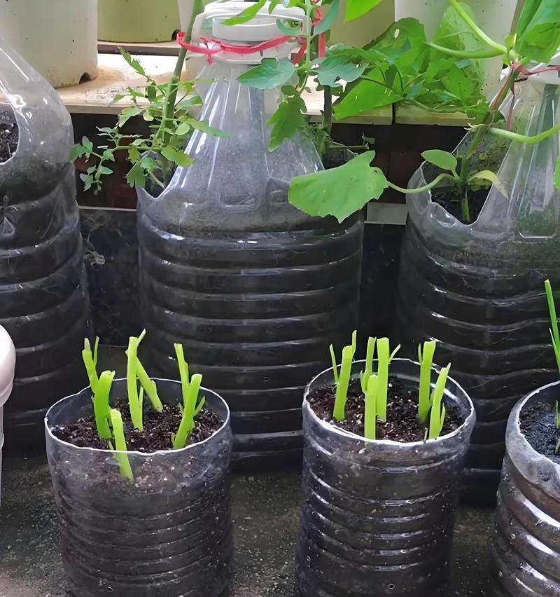 工厂车间绿植花盆废弃材料改造