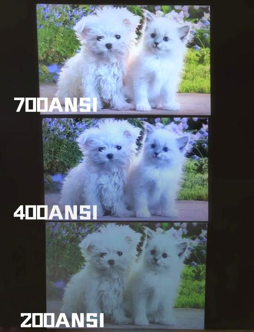 家用投影仪不同流明暗场实际效果对比图