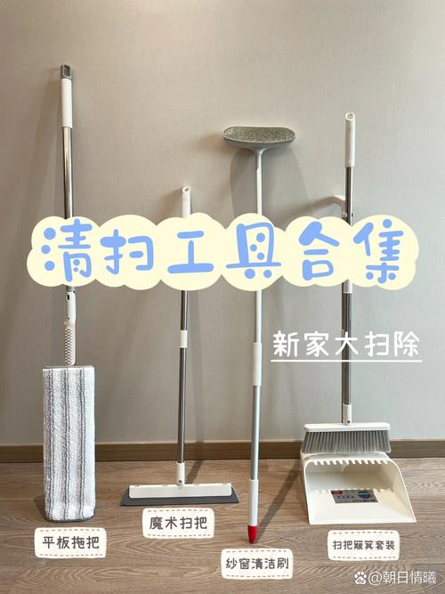 刚入户的新除尘工具,别乱堆进门就用