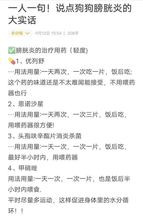 家养狗狗膀胱炎常见诱发因素整理表