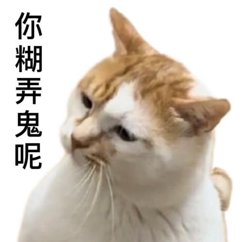 现场那些糊弄鬼的操作