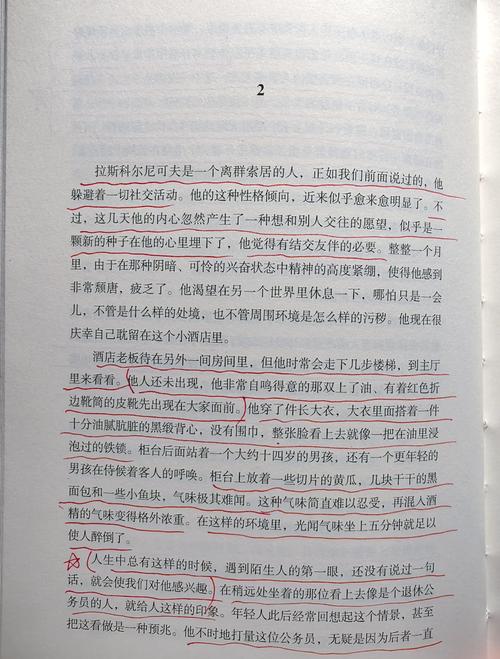 不止是蓝白:图腾里的野生哲学