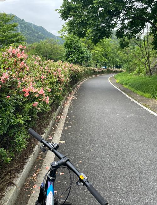 杭州千岛湖淳杨线自驾游公路风景