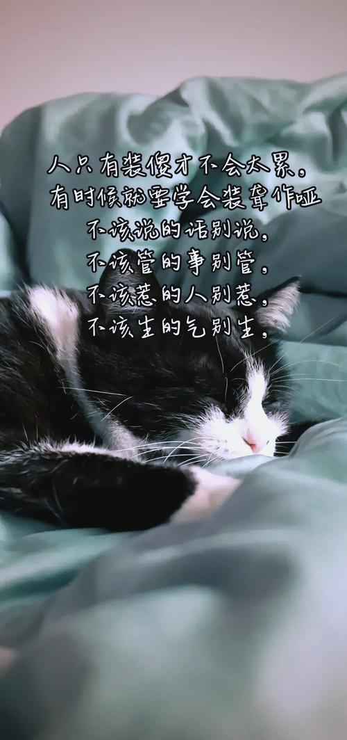 装回的时候别瞎拧，错一点还会出问题