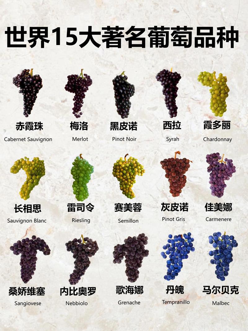 多种葡萄品种酿造的红酒摆拍图