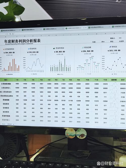 2010年代企业传统Excel数据报表实拍