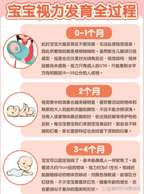 0-1岁宝宝视力发展发育过程示意图