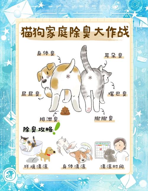 宠物除臭掩盖法vs分解法原理对比图