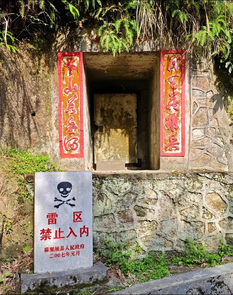那些你根本没想着要查有效期的隐形雷区