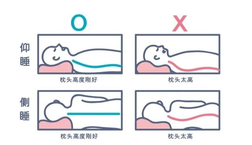 不同睡姿枕头高度选择对比图