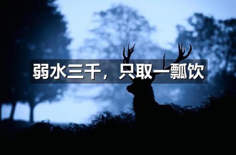 流了上千年的水，没变的是人情