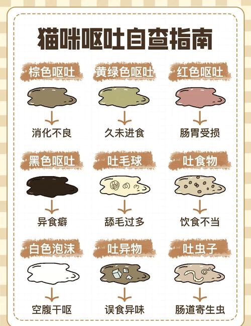 不同状态猫咪呕吐物对比参考图