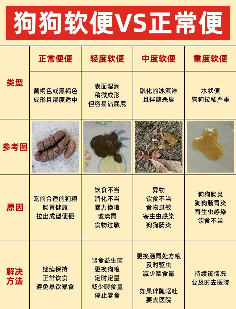 宠物软便原因判断对照表
