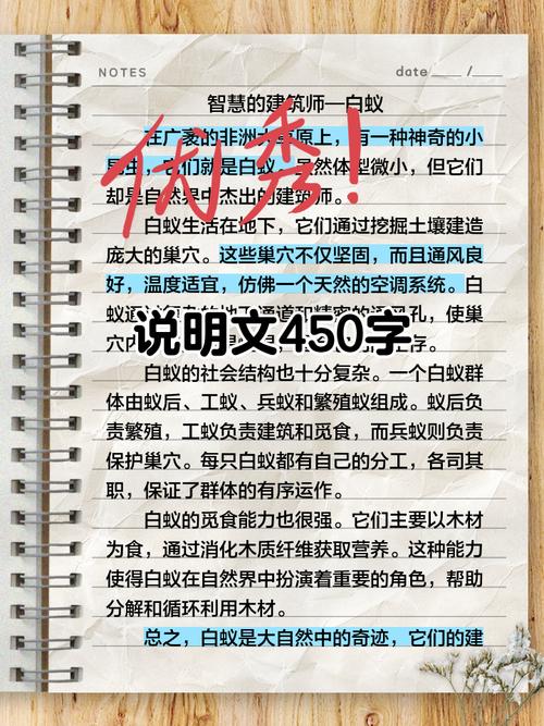 技术文件:那玩意比说明书厚十倍,但没它不行