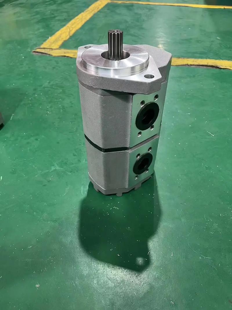 先搞明白你要的是哪种齿轮泵