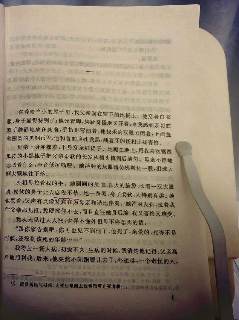 小说:纸页间的疯言疯语,怎么就治好了我的精神内耗-因为所以