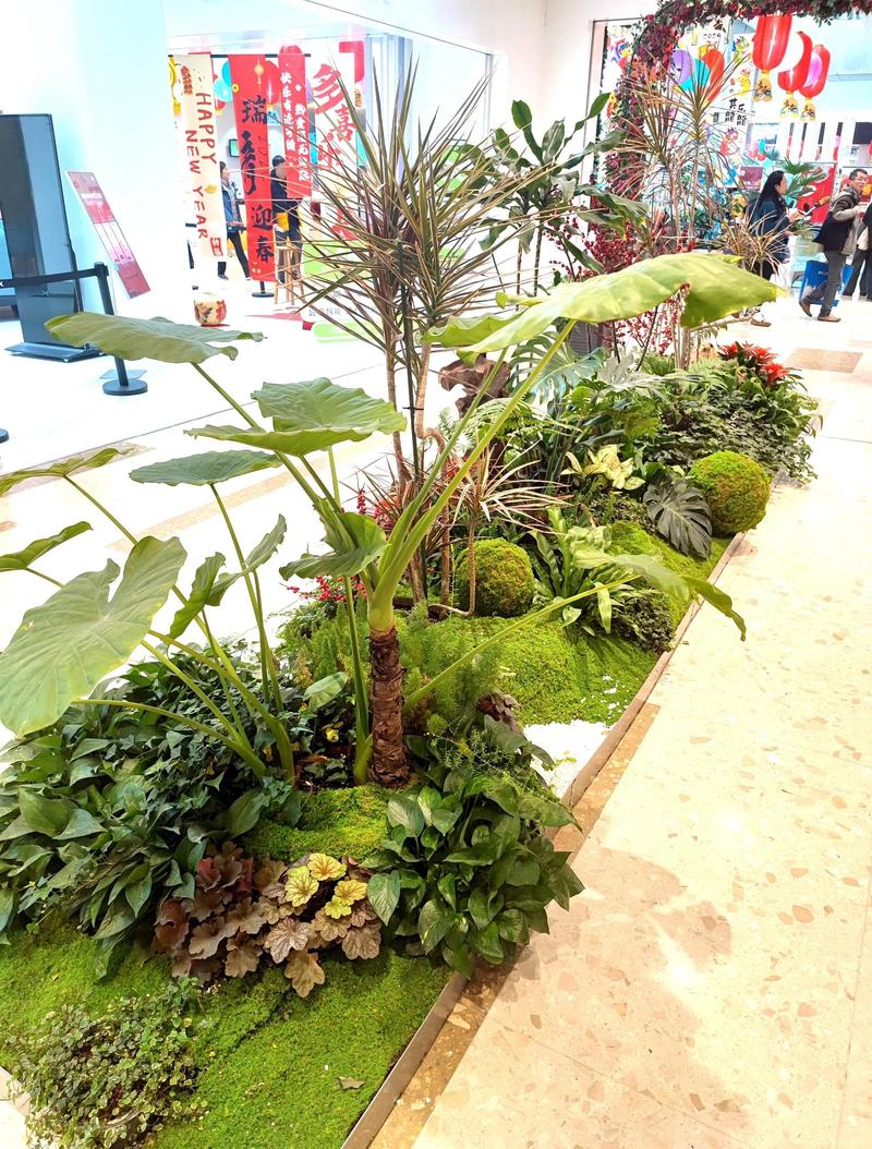 真假绿植对比细节特写图