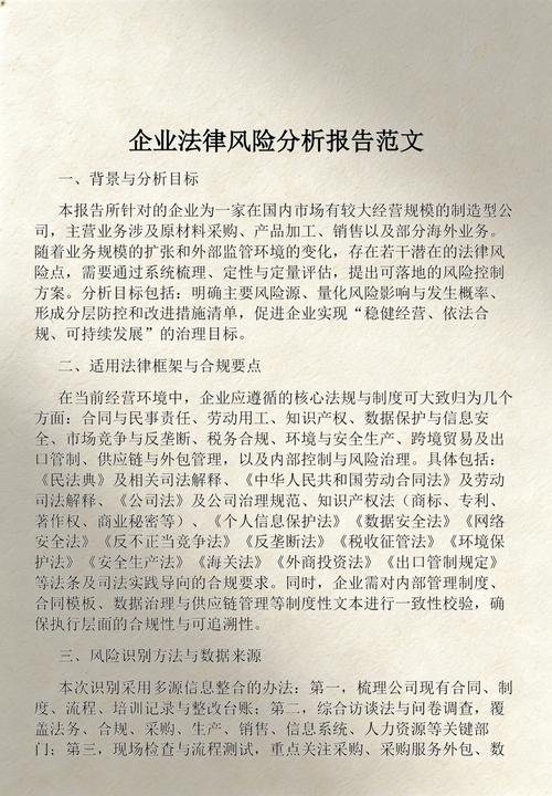 企业法律风险勘探交付报告内页示例图