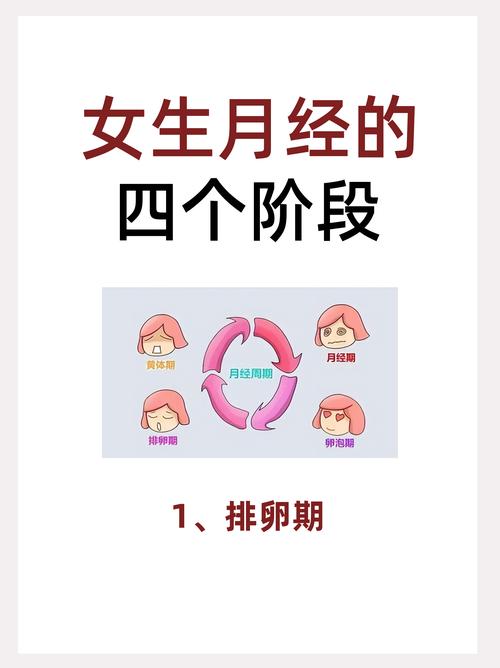 那90分钟整周期又是怎么回事?