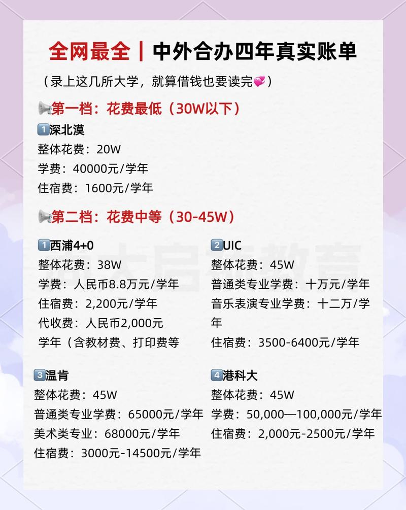 中外合作办学四年总费用预算明细表格