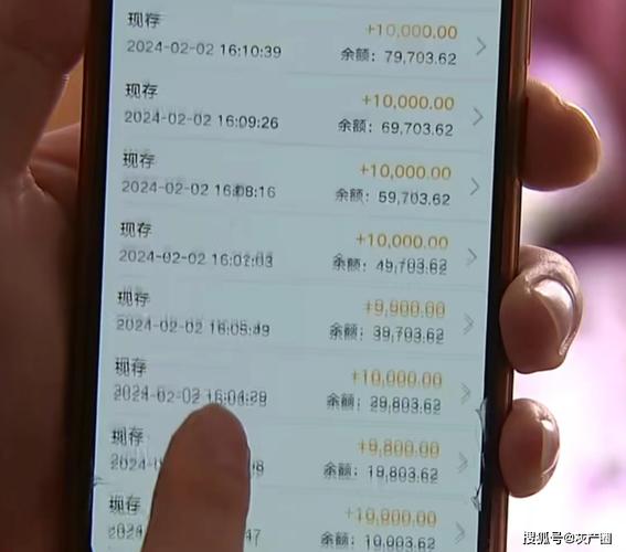 婚前购房首付款转账流水截图