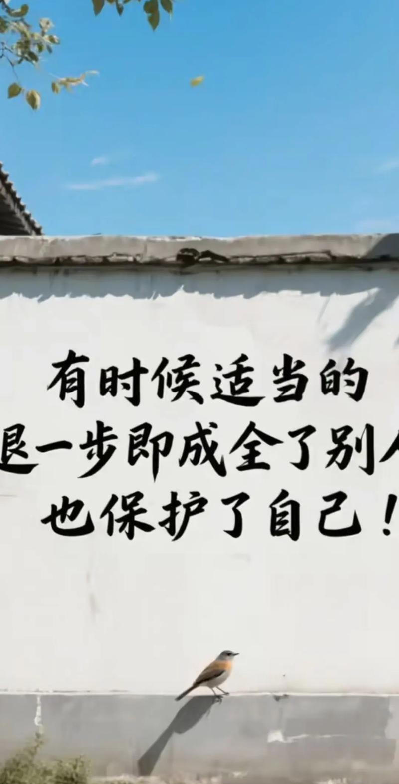 各退一步，法条也得顺着人情走