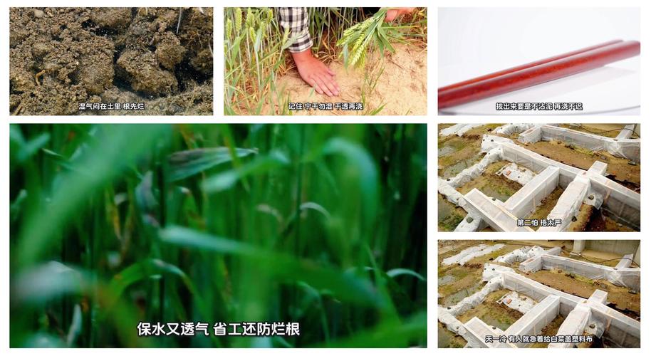 天然养护的几个避坑要点，别踩错