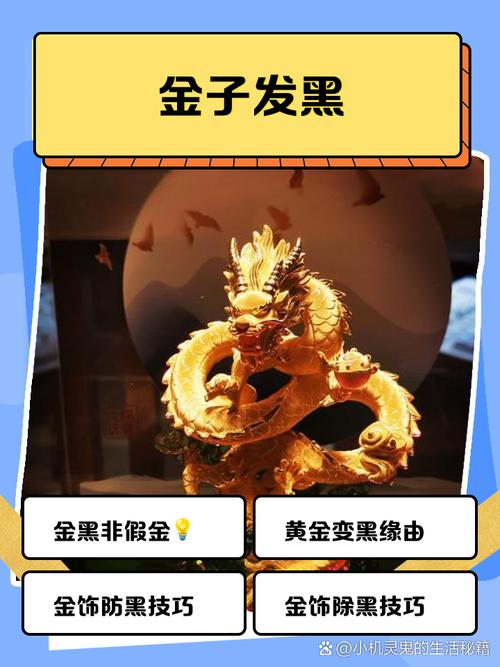 你以为的“黑历史”,其实是金子