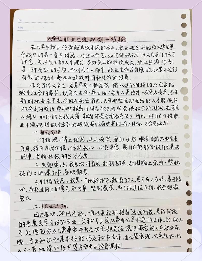 应届生手写择业规划笔记本