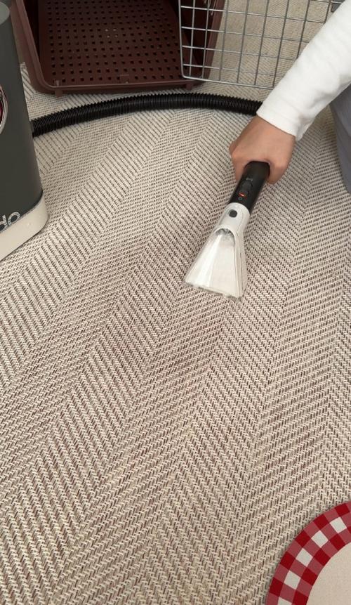 手持吸尘器清洁客厅短绒地毯