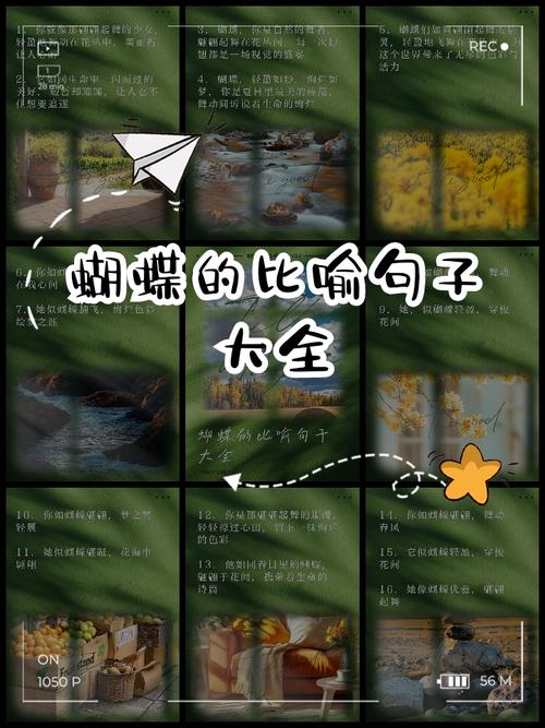 翅膀的隐喻,或者说,我们为什么总拿蝴蝶说事