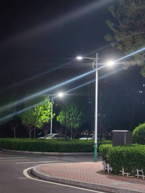 中学操场看台夜晚路灯场景