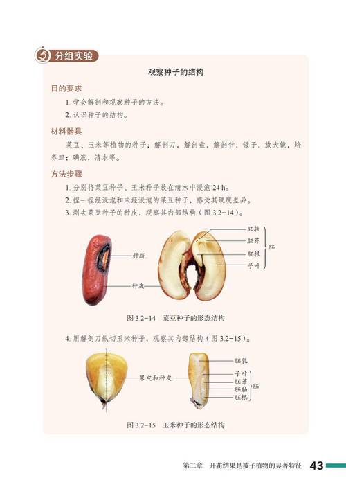 种子:沉睡者给世界的回答-因为所以