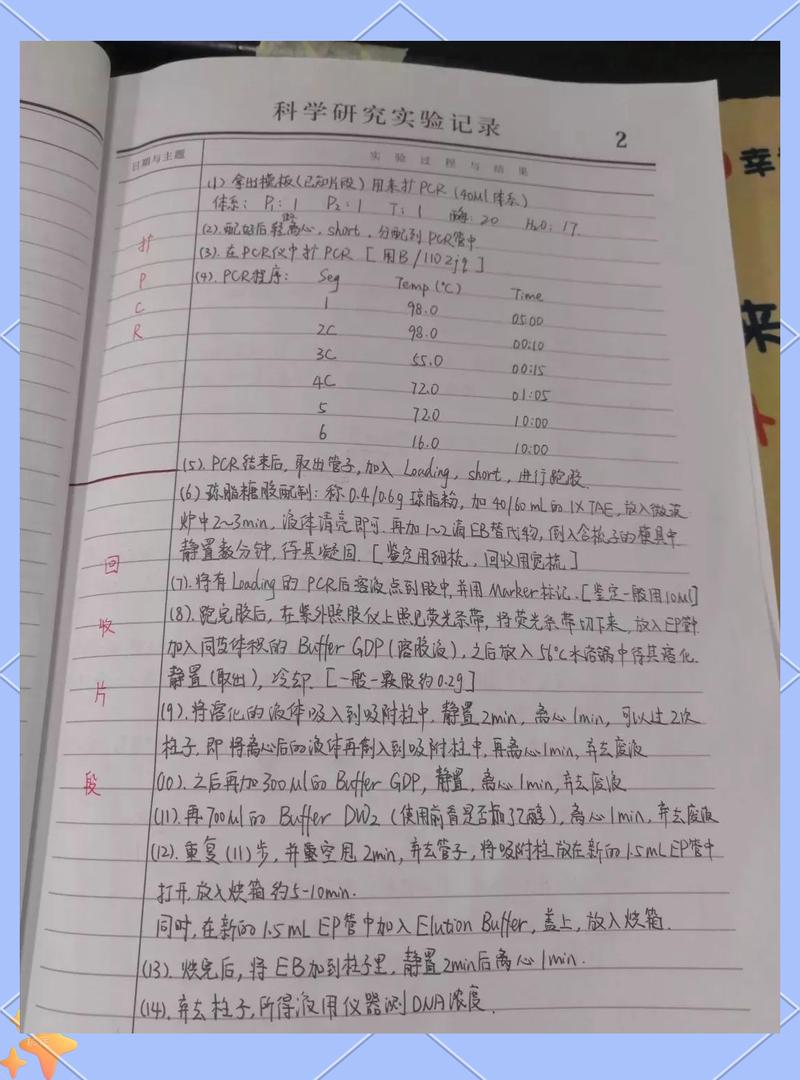 科研人员在试验记录本上划掉作废数据的特写